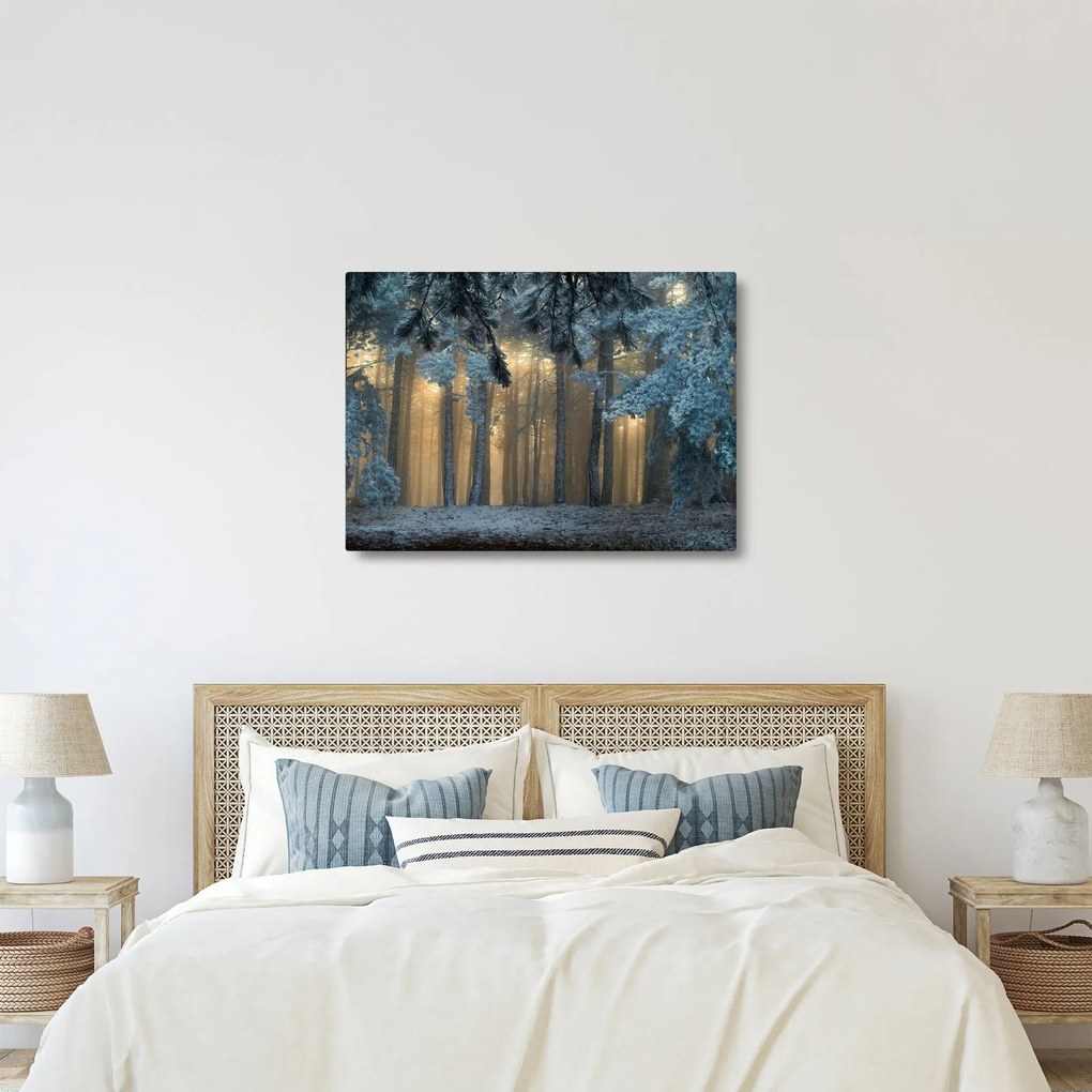 Obraz zasneženého lesa (70x50 cm)