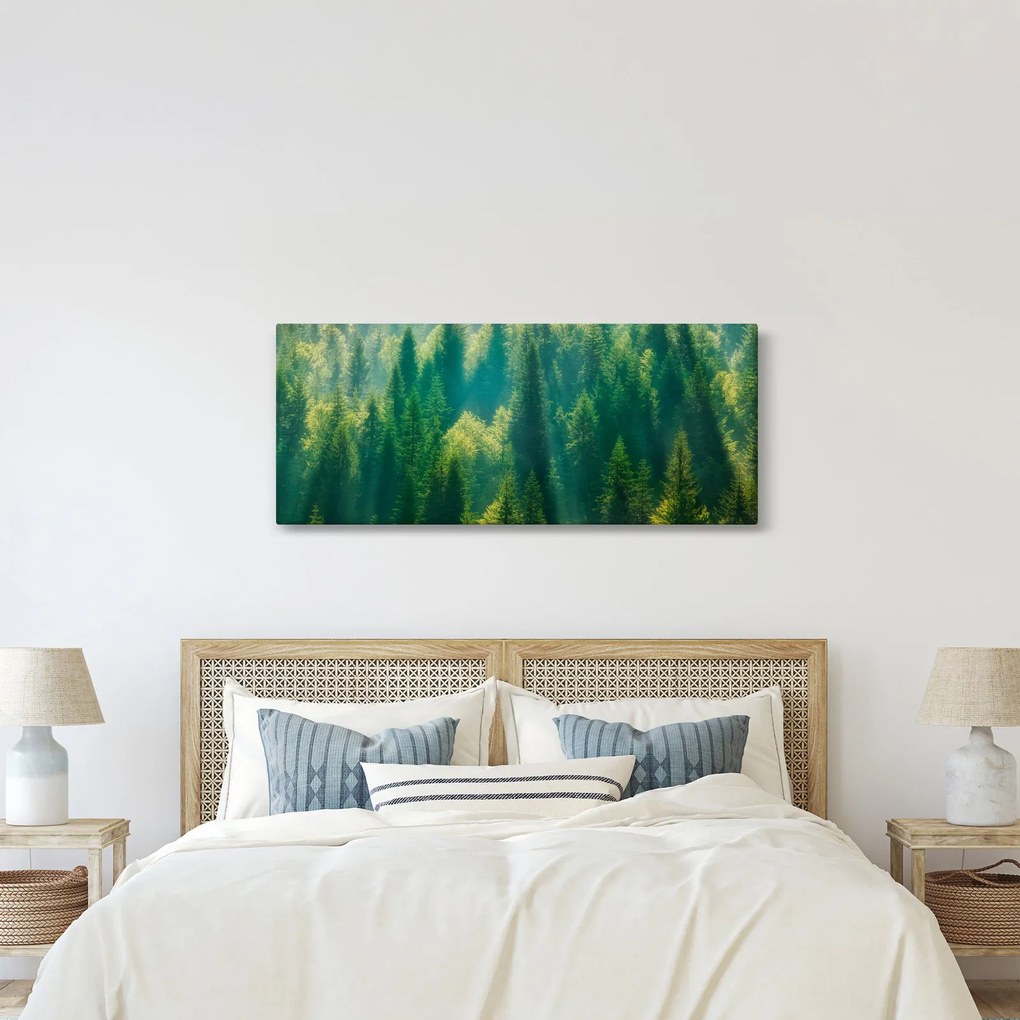 Obraz - Borovicový les (120x50 cm)