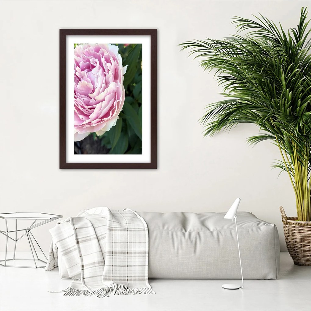 Gario Plagát Pekná ružová pivonka Farba rámu: Bez rámu, Rozmery: 20 x 30 cm