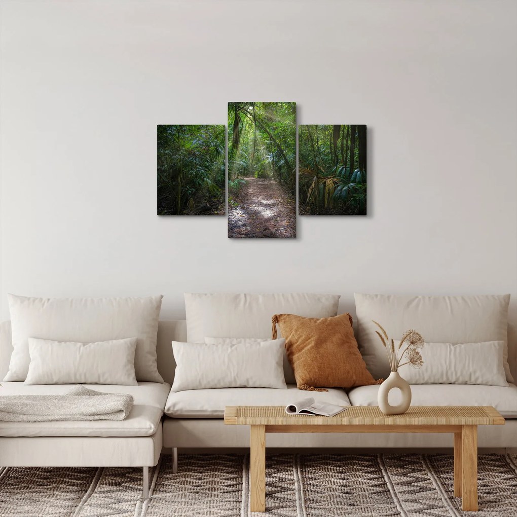 Obraz - Slnečné lúče v džungli (90x60 cm)