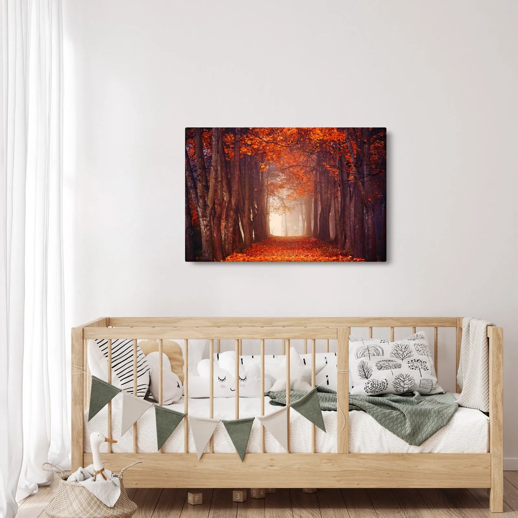 Obraz - Jesenné les (90x60 cm)