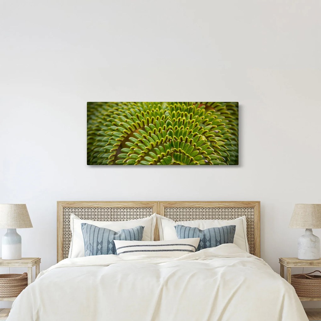 Obraz - Papraď (120x50 cm)
