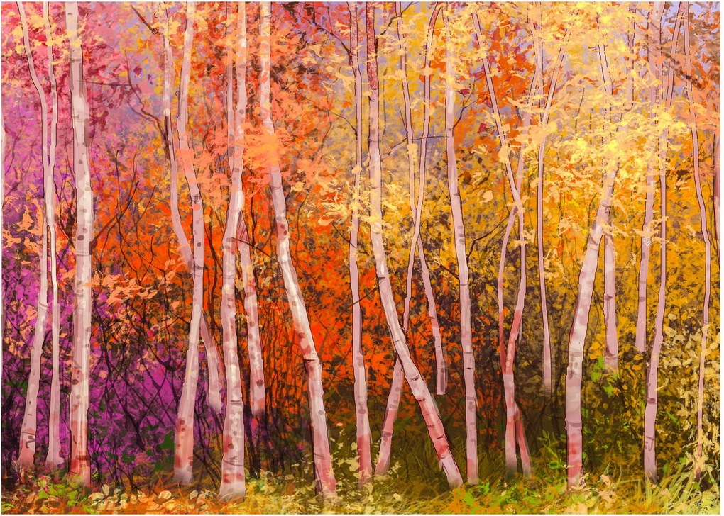 Obraz farebného lesa (70x50 cm)