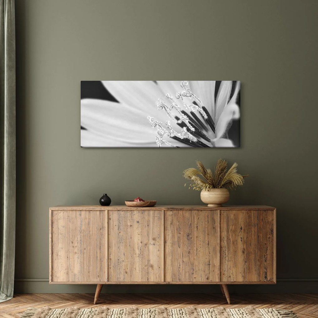 Obraz - Čiernobiely kvet (120x50 cm)