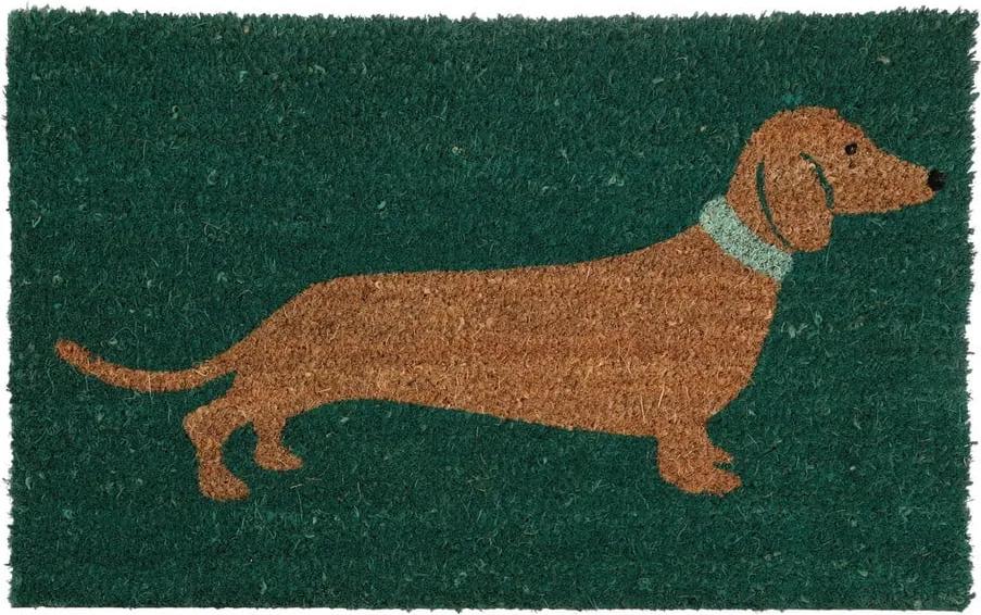 Zelená rohožka Premier Housewares Sausage Dog, 40x60 cm