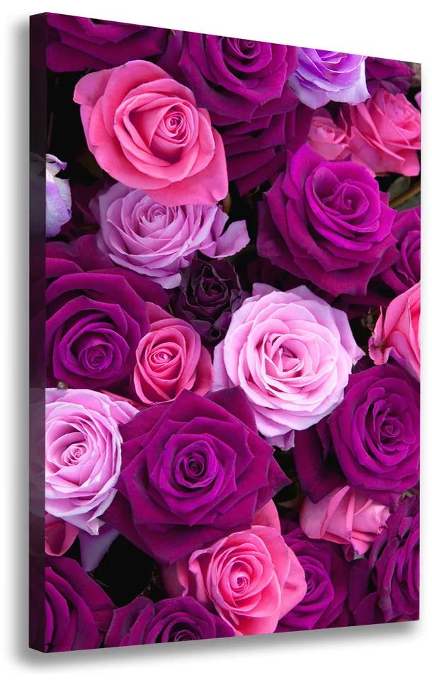Foto obraz na plátne do obývačky Ružové ruže pl-oc-70x100-f-119226087