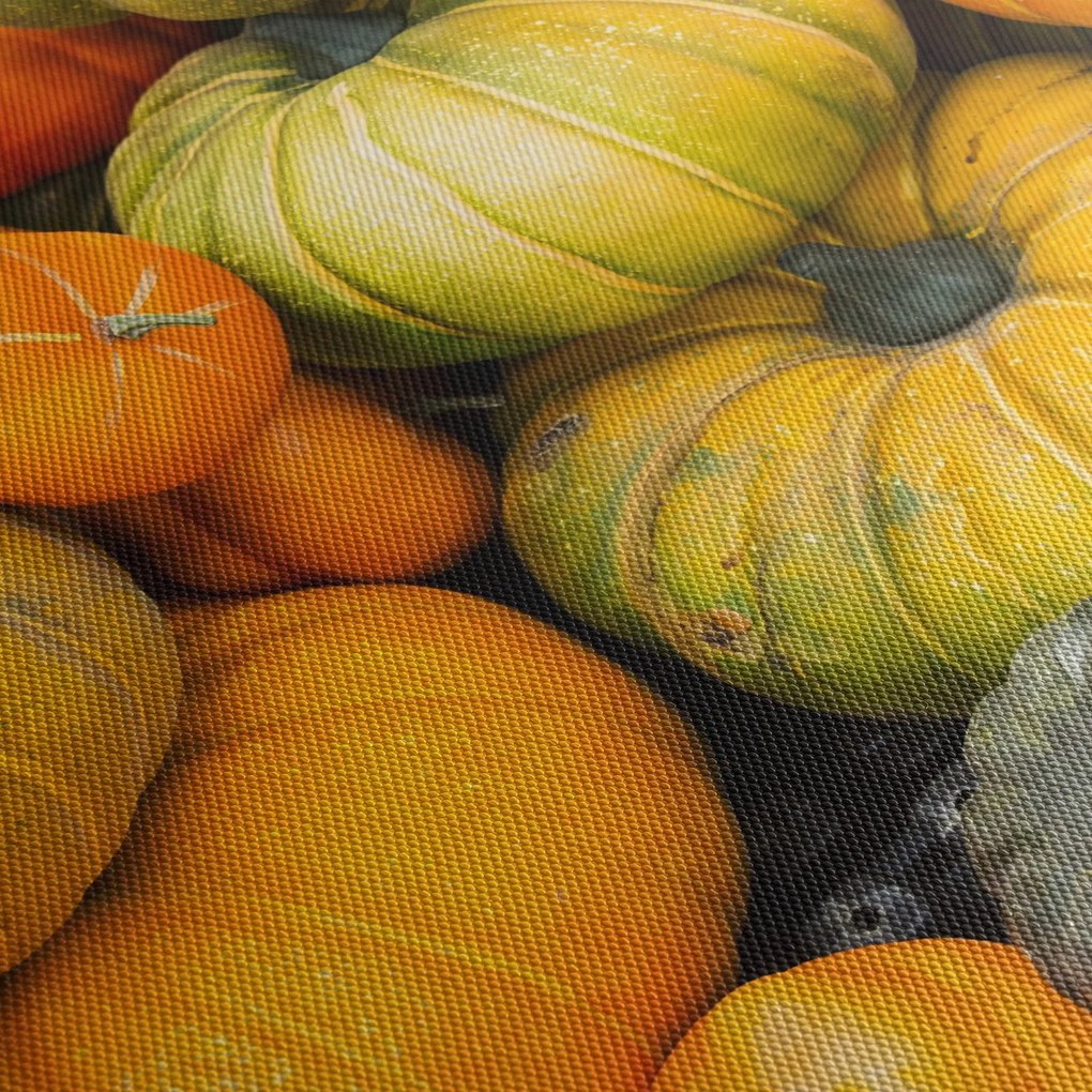 Obraz - Jesenná tekvica (70x50 cm)