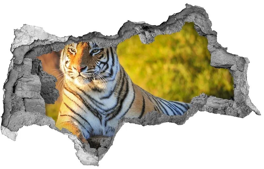 Diera 3D fototapeta nálepka Portrét tigra nd-b-65114965