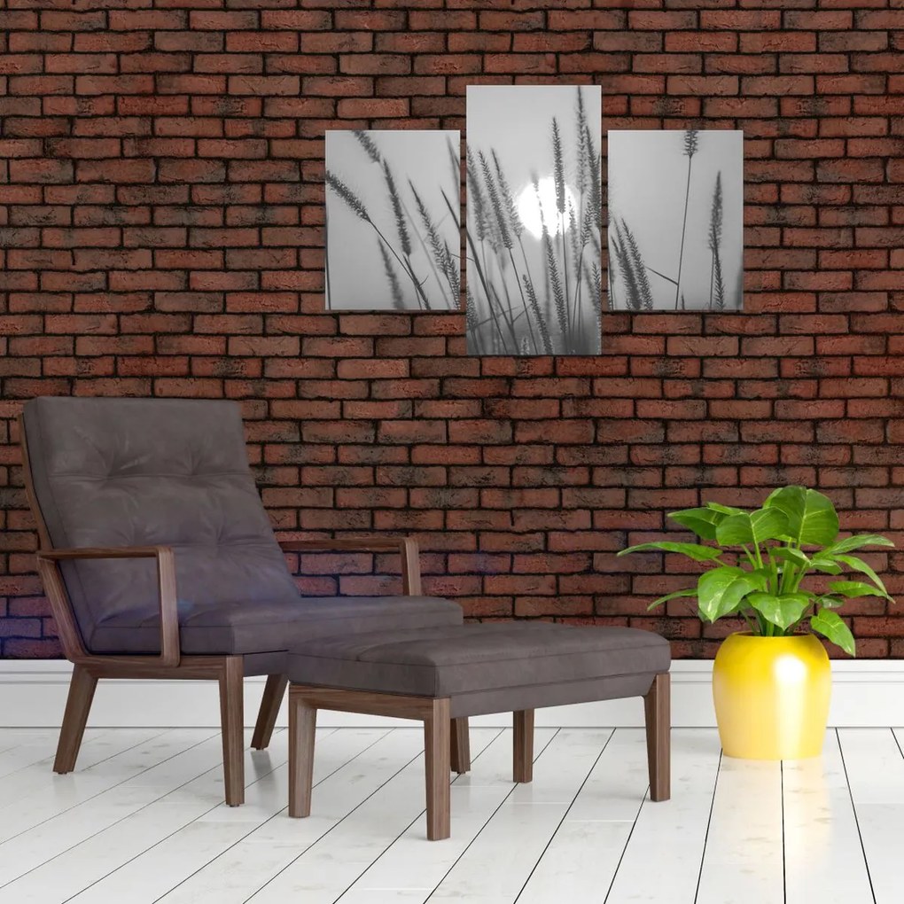 Obraz - Lúka pri západe slnka (90x60 cm)
