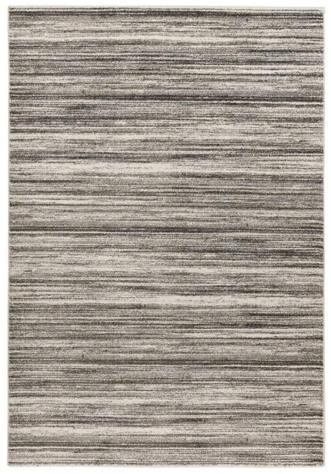 Lalee Kusový koberec Trendy 406 Silver Rozmer koberca: 80 x 150 cm