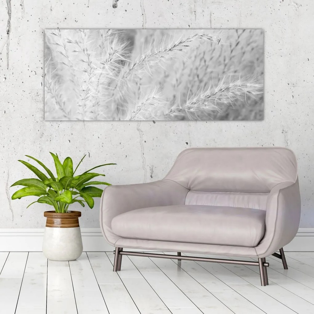 Obraz - Pampas grass N⁰1 (120x50 cm)