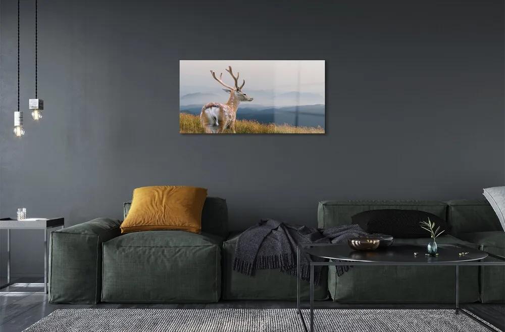 Sklenený obraz jeleň hory 120x60 cm