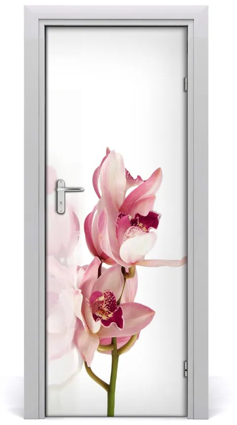 Fototapeta na dvere ružová orchidea 75x205 cm