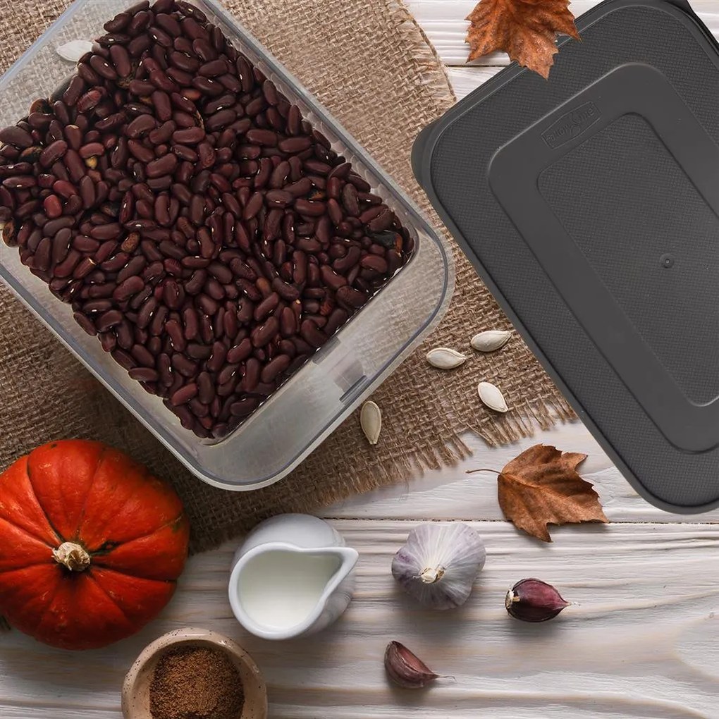 Orion Dóza na potraviny s vrchnákom a uchom MATRIX, 2,6l, sivá