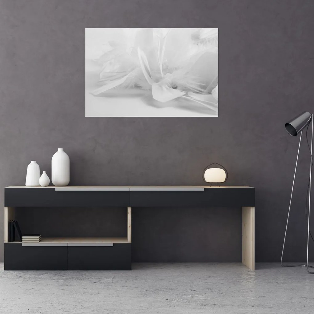 Obraz - Perie (90x60 cm)