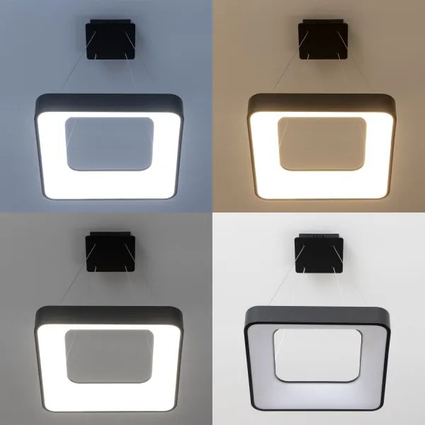 Brilagi - Závesný stmievateľný LED luster na lanku FALCON II LED/80W/230V 40x40 cm čierna + diaľkové ovládanie