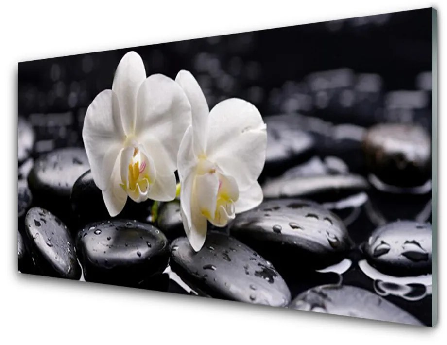 Sklenený obklad Do kuchyne Kamene zen biela orchidea 120x60 cm