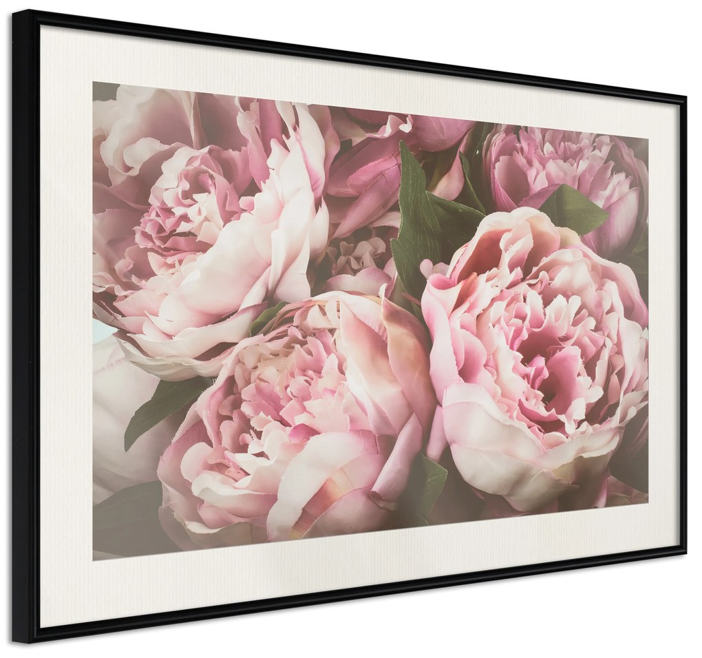 Artgeist Plagát - Pink Peonies [Poster] Veľkosť: 30x20, Verzia: Zlatý rám s passe-partout