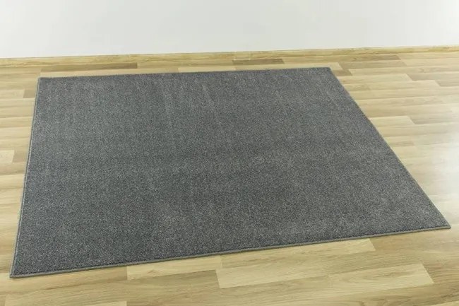 Koberec Forest 76 sivý