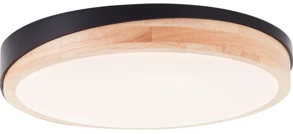 Brilliant - LED St. stropné svietidlo BAARLO LED/24W/230V pr. 35 cm čierna