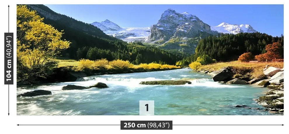 Fototapeta Vliesová Švajčiarske alpy 208x146 cm