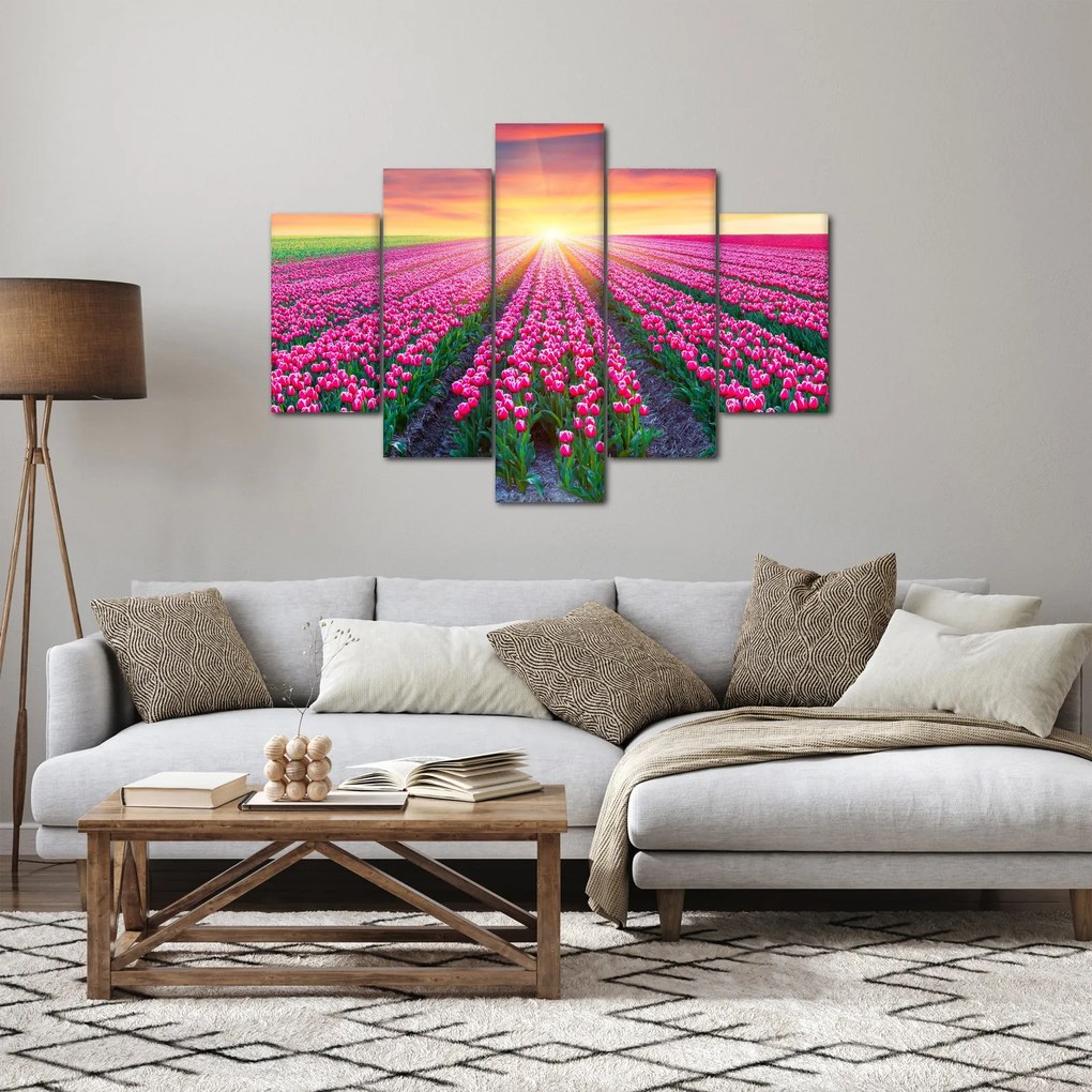Obraz poľa tulipánov so slnkom (150x105 cm)