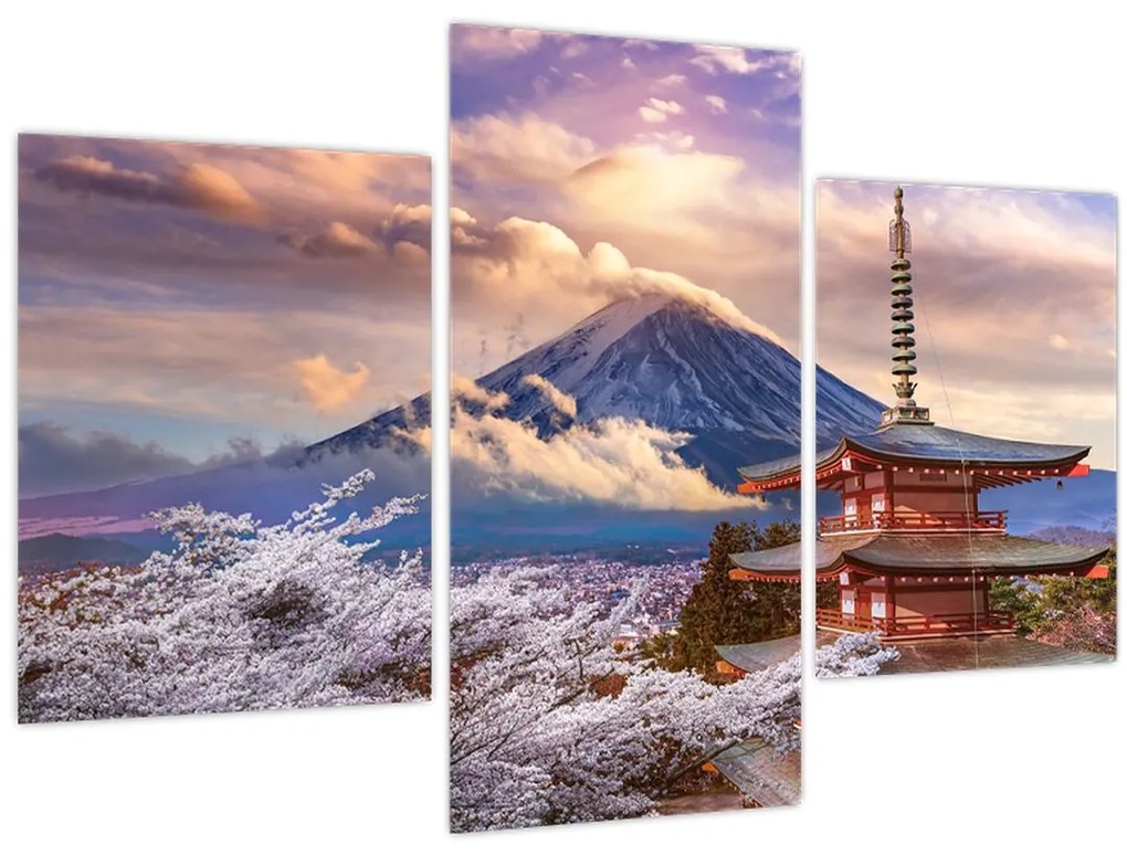 Obraz - Hora Fuji (90x60 cm)