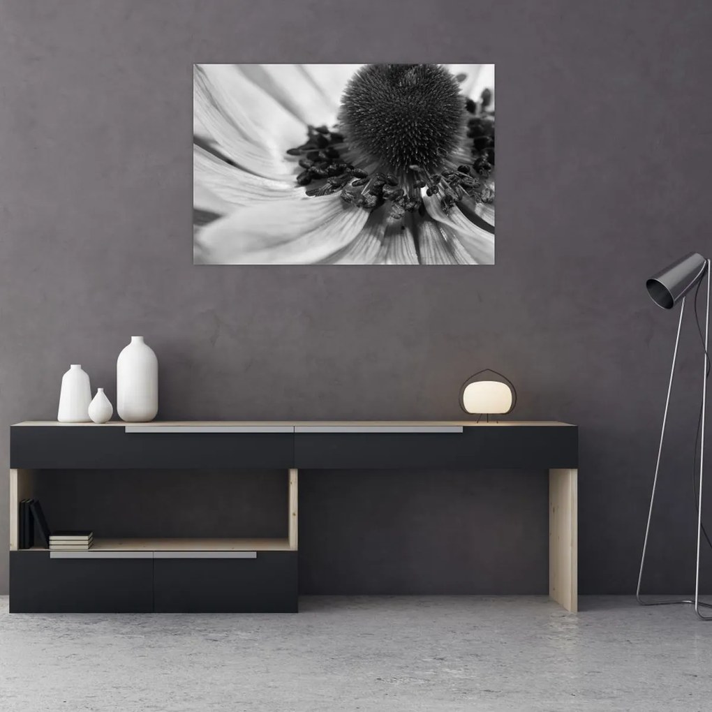 Obraz - Kvetina v čiernobielej (90x60 cm)