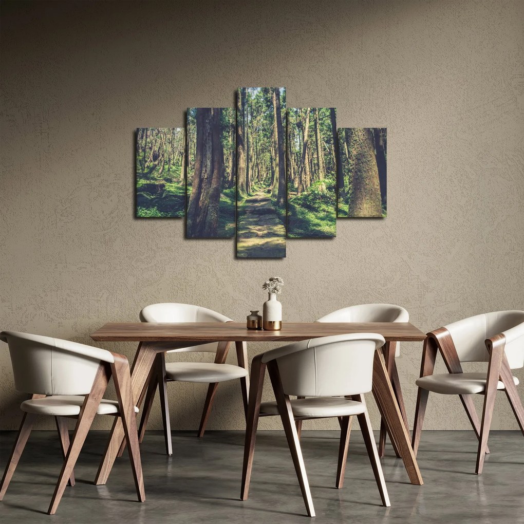 Obraz cesty medzi stromami (150x105 cm)