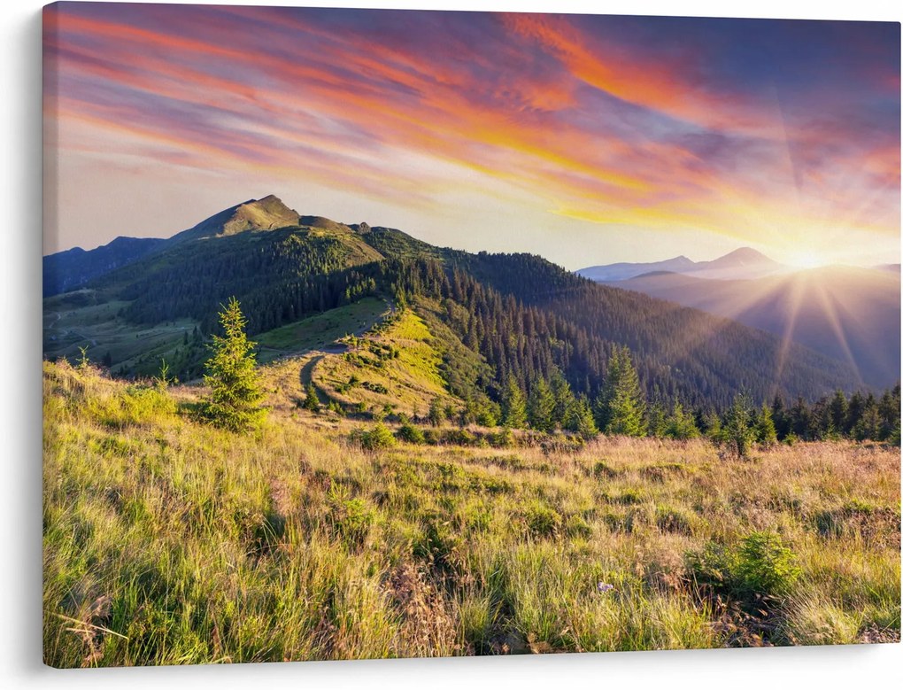 Obraz - Lesná krajina (70x50 cm)