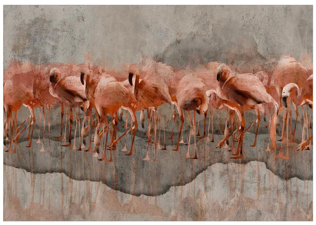 Artgeist Fototapeta - Flamingo Lake Veľkosť: 100x70, Verzia: Standard