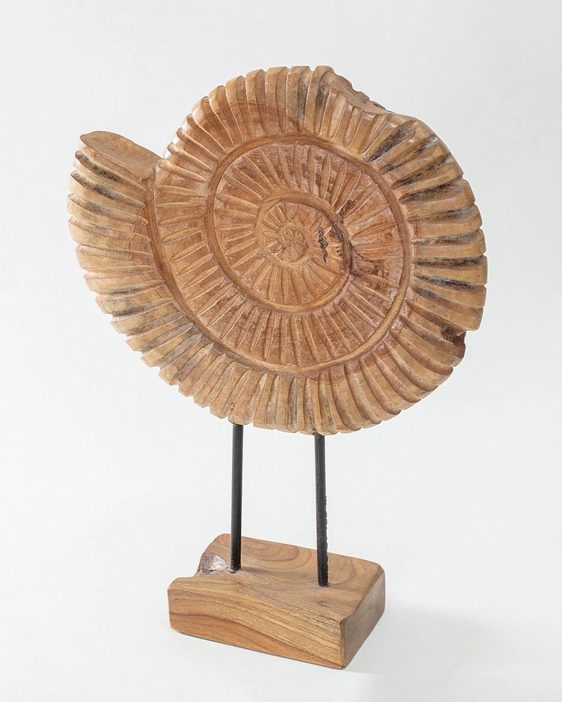 Dekoracja Fossil