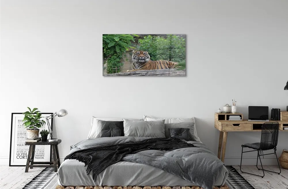 Sklenený obraz Tiger Woods 125x50 cm