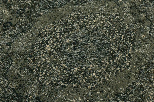 Koberec Dywilan Omega Mamluk Iron zelený