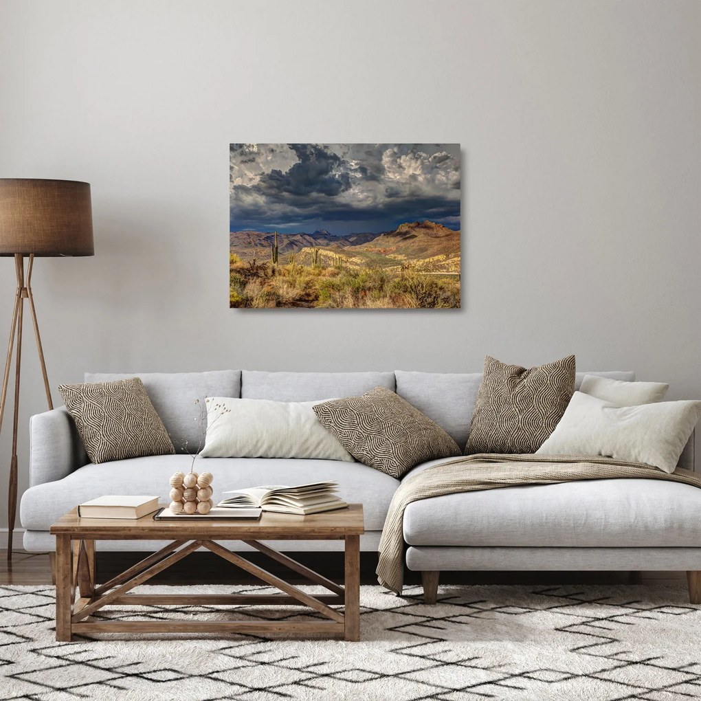 Sklenený obraz - kaktusy v prírode (70x50 cm)