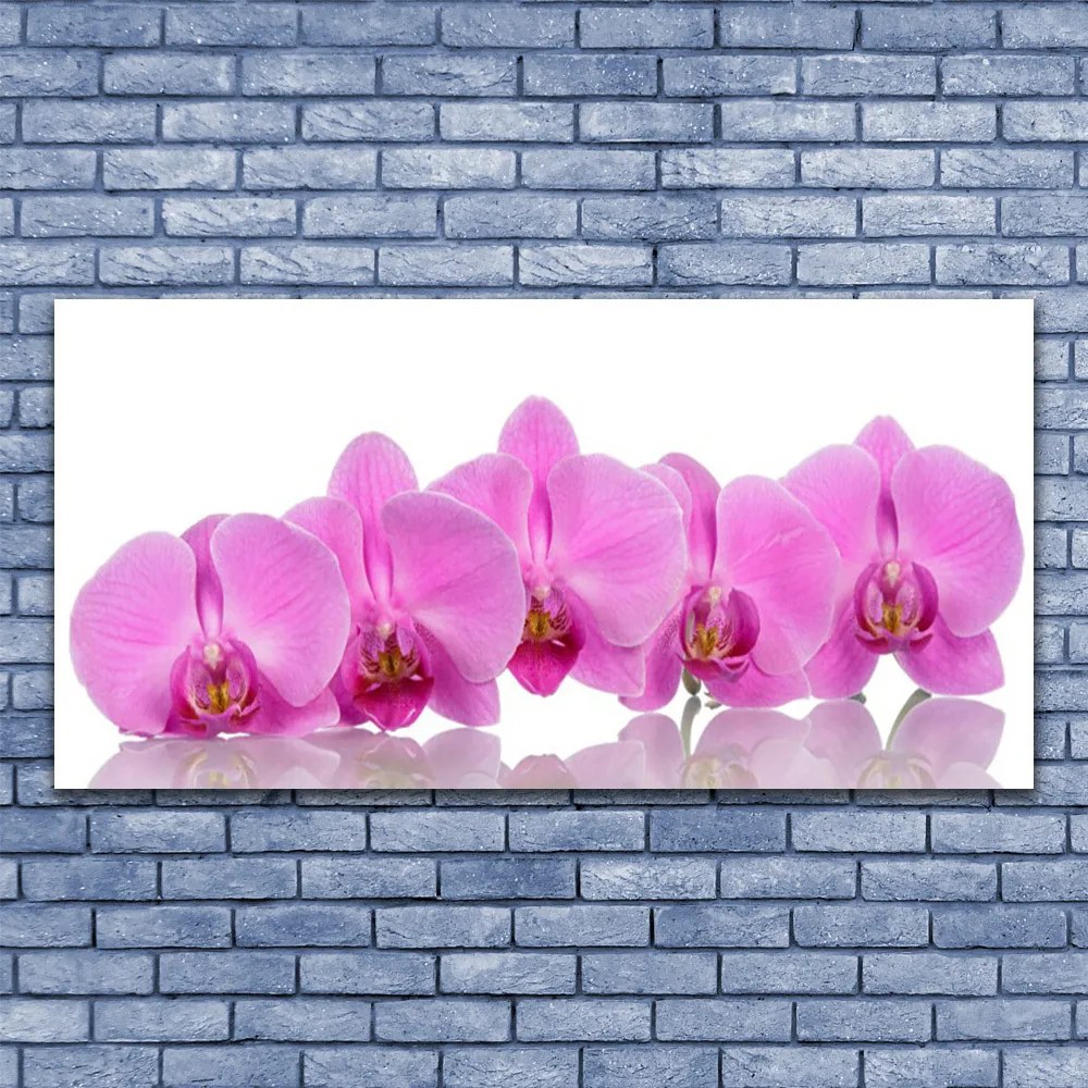 Obraz plexi Ružová orchidea kvety 120x60 cm