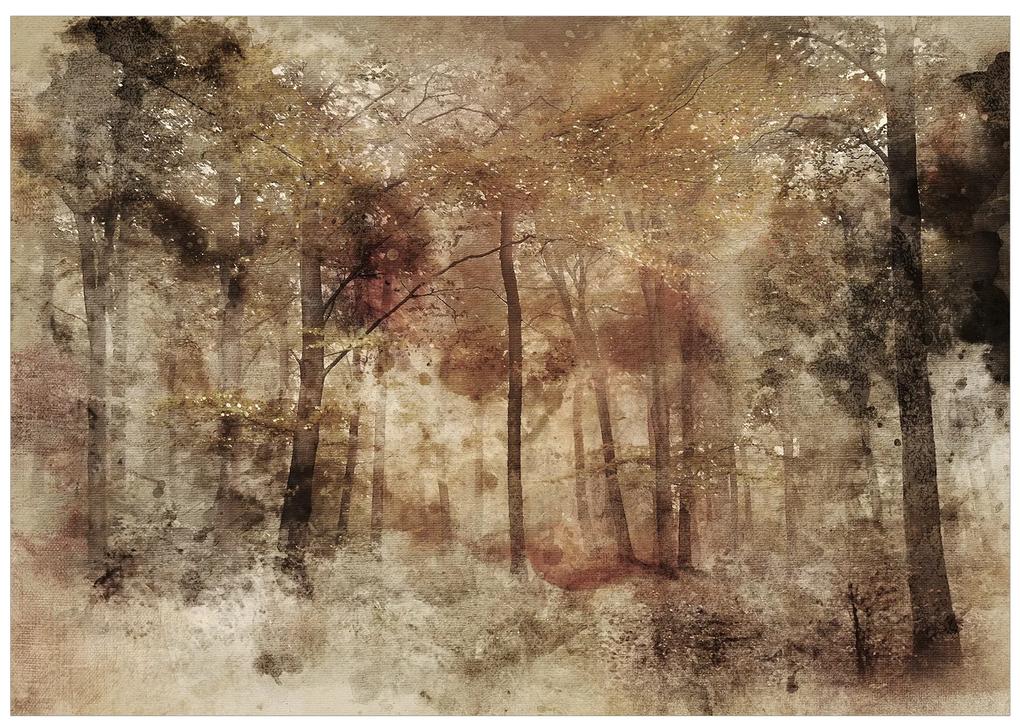 Artgeist Fototapeta - Lost in the woods Veľkosť: 100x70, Verzia: Standard