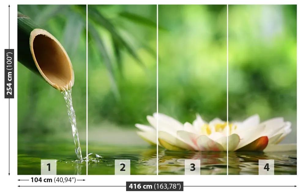 Fototapeta Vliesová Bambusová fontána 250x104 cm