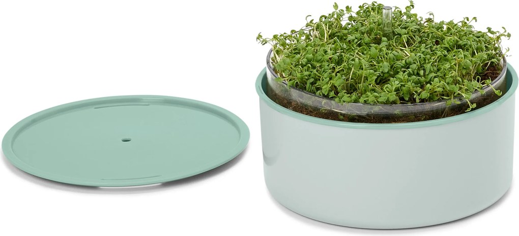 Súprava na pestovanie »Microgreens«