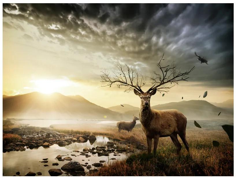Artgeist Fototapeta - Deers by mountain stream Veľkosť: 200x154, Verzia: Standard