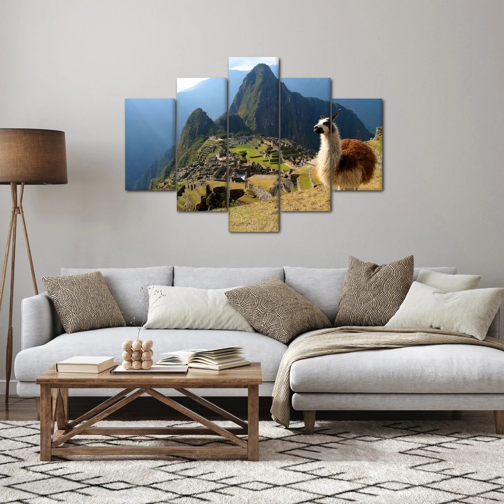 Obrázok - Lama a Machu Picchu (150x105 cm)