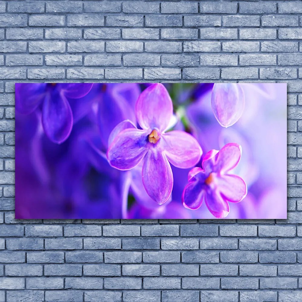 Obraz plexi Fialové kvety príroda 120x60 cm