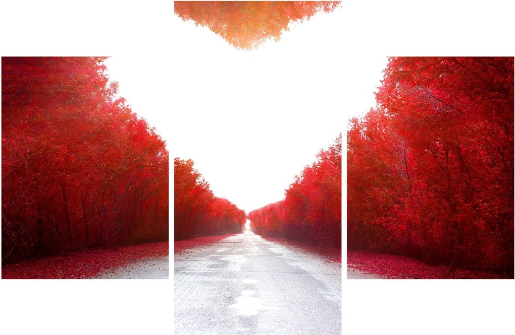Obraz - Cesta k láske (90x60 cm)