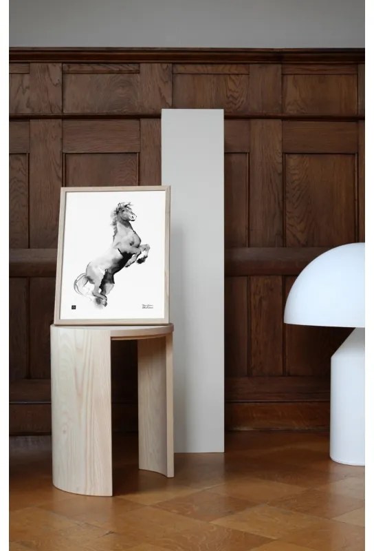 Plagát Horse 30x40