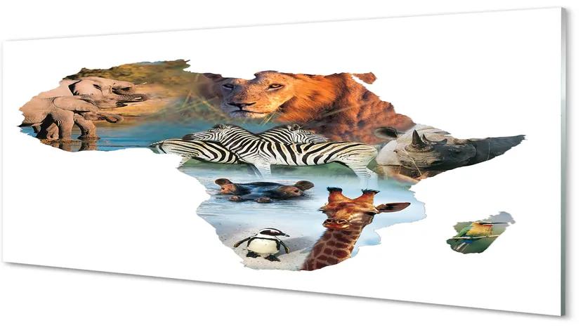 Obraz plexi Zebra žirafa tiger 120x60 cm