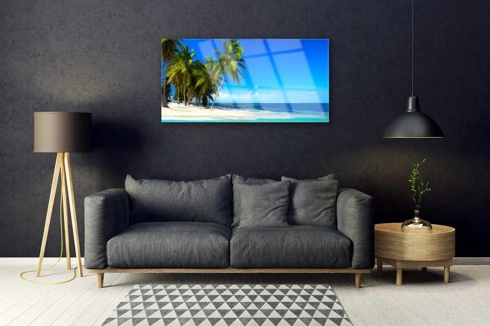 Obraz na skle Palma strom more krajina 140x70 cm