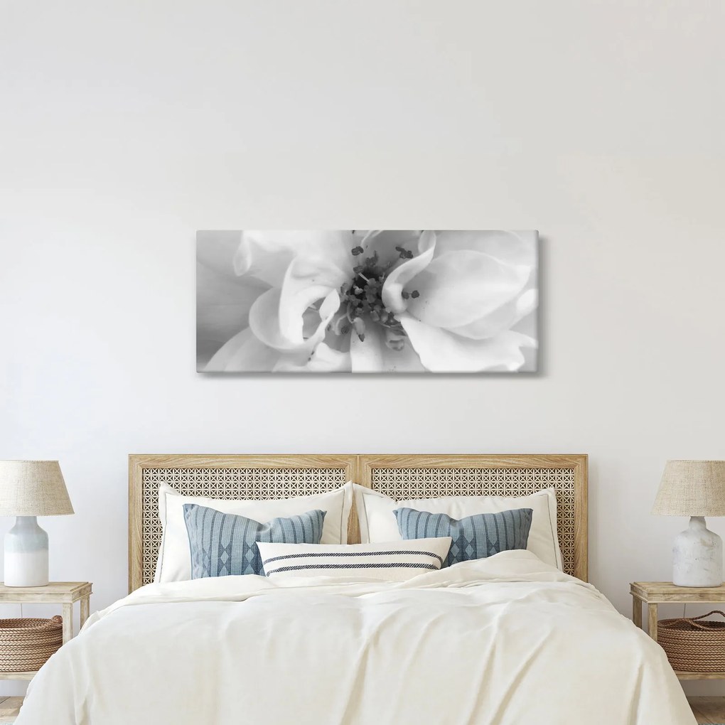 Obraz - Kvet, čiernobiela (120x50 cm)