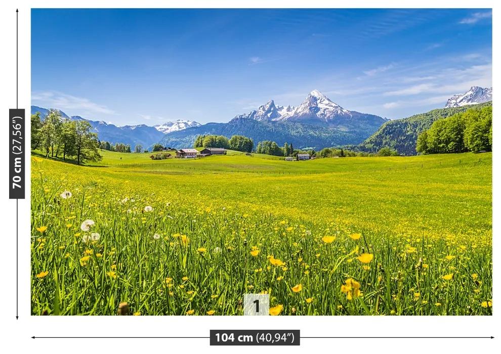 Fototapeta Vliesová Alpské lúky 104x70 cm