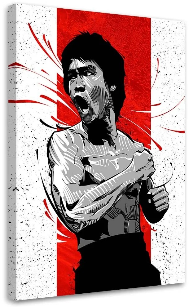 Gario Obraz na plátne Príbeh draka Brucea Leeho - Nikita Abakumov Rozmery: 80 x 120 cm