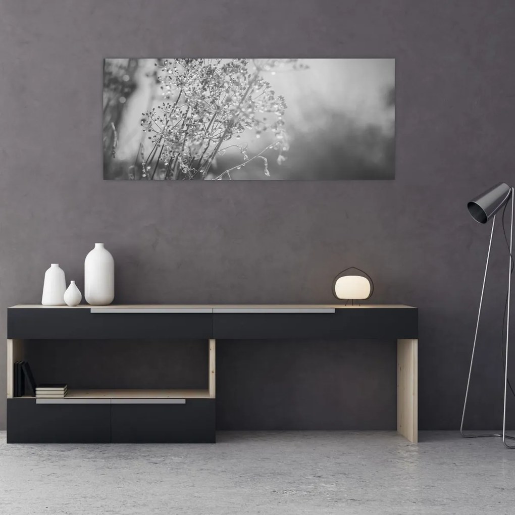 Obraz - Lúka po daždi (120x50 cm)